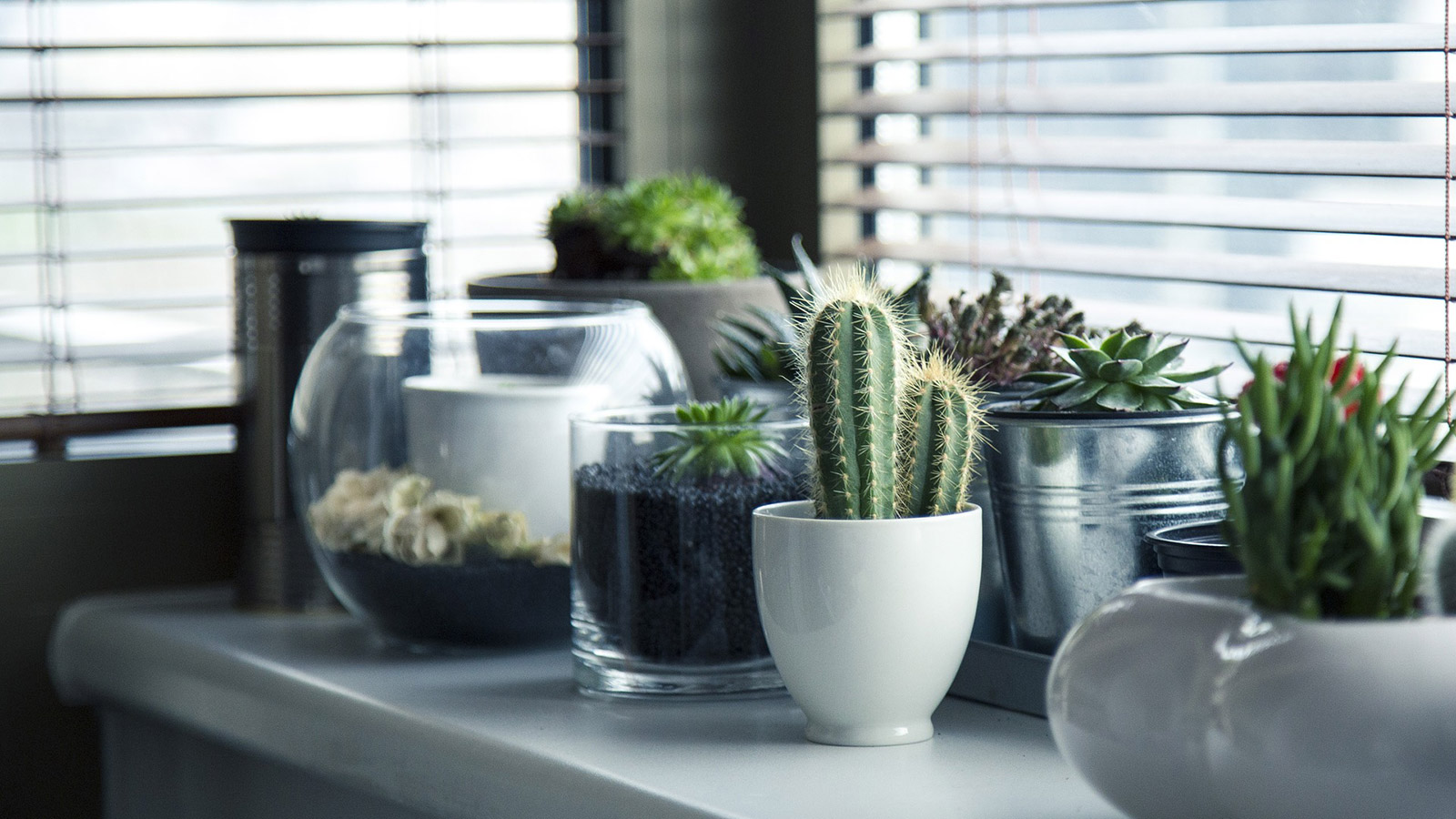pots_1600x900